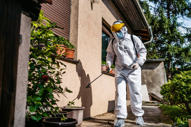 Best Termite Control Services  in Soh Ogden, UT